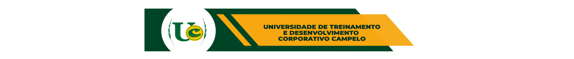 Universidade Campelo