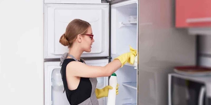 APRENDA A LIMPAR A GELADEIRA DE FORMA CORRETA