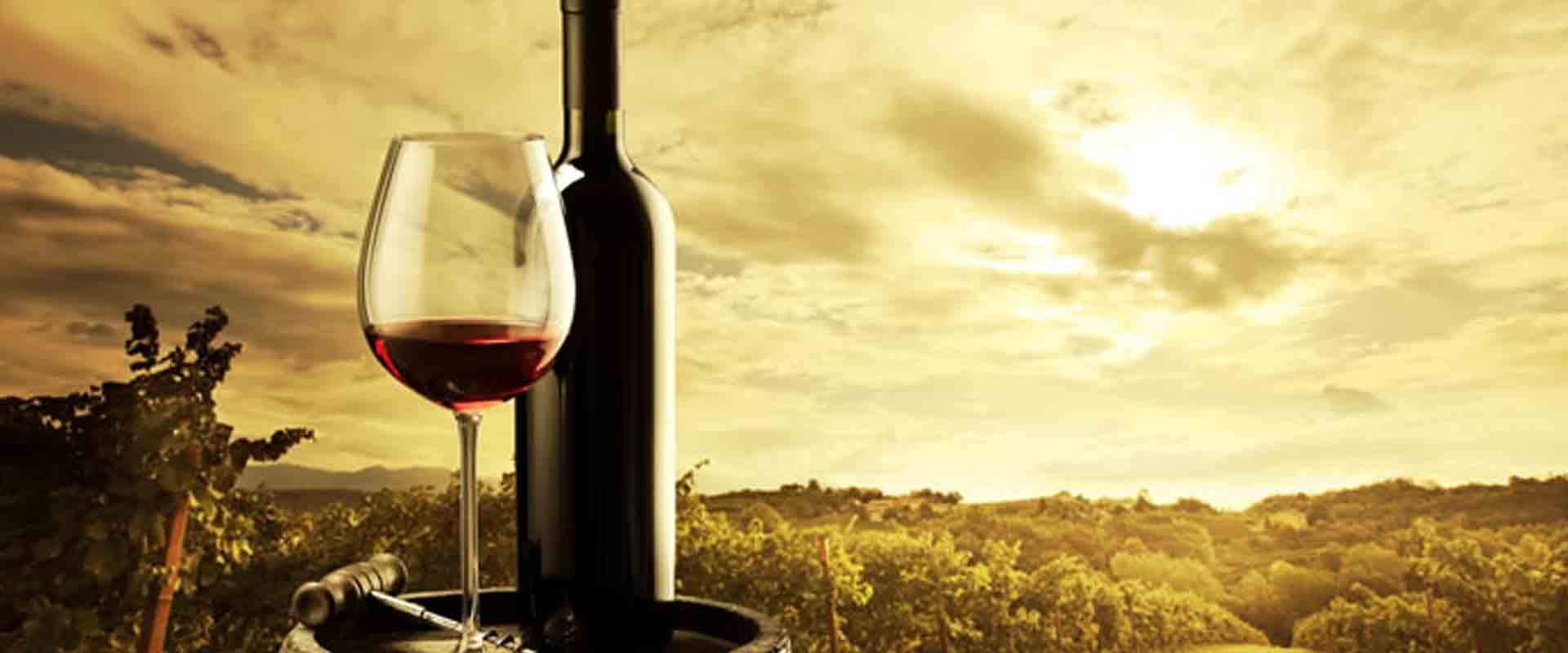 IDEIAS DE PRESENTE PARA QUEM GOSTA DE VINHO