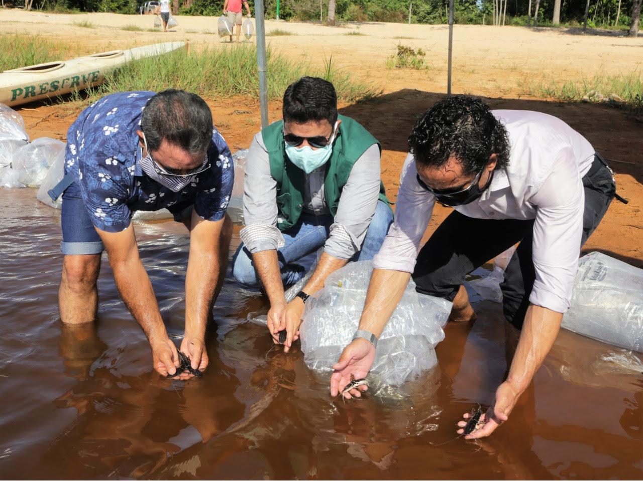 PROJETO LAGO VIVO 
