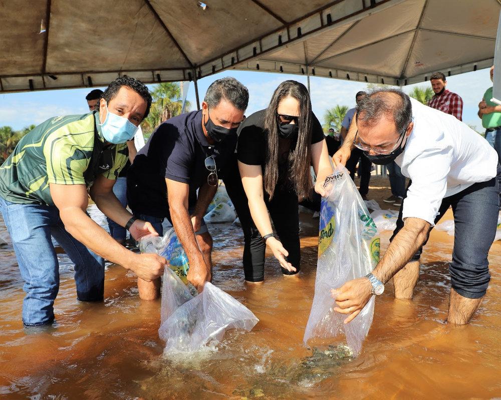 PROJETO LAGO VIVO 